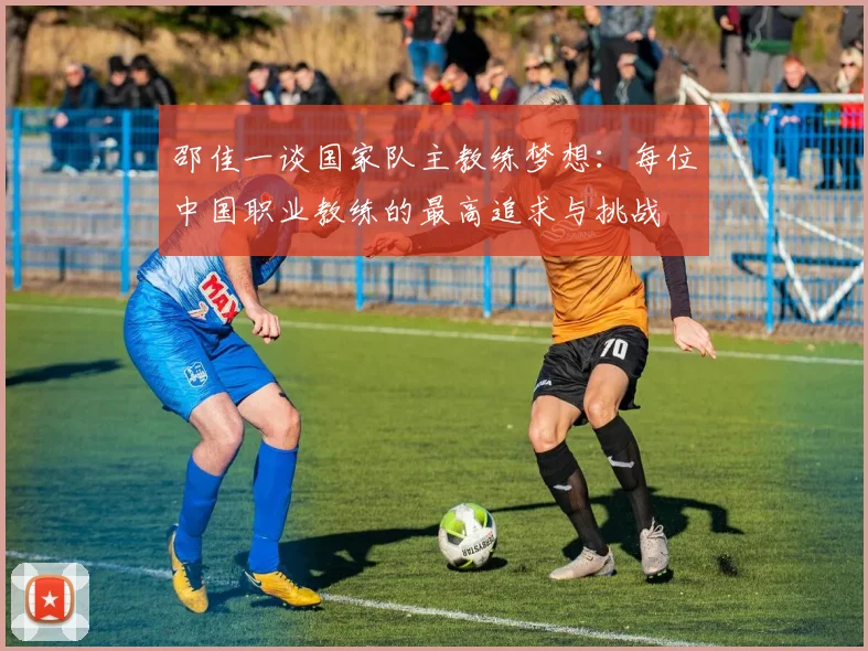 邵佳一谈国家队主教练梦想：每位中国职业教练的最高追求与挑战