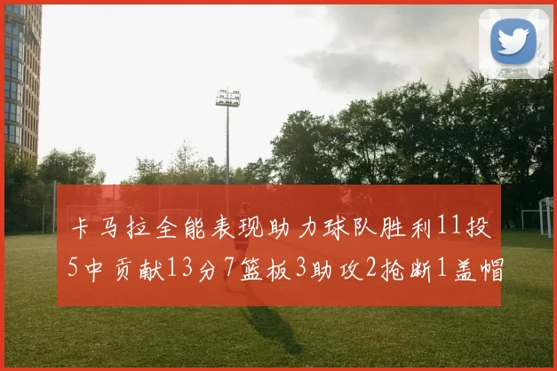 卡马拉全能表现助力球队胜利11投5中贡献13分7篮板3助攻2抢断1盖帽正负值5